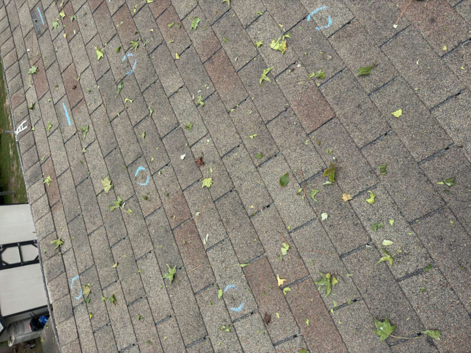 Chalk circles marking hail hits on weathered asphalt shingles