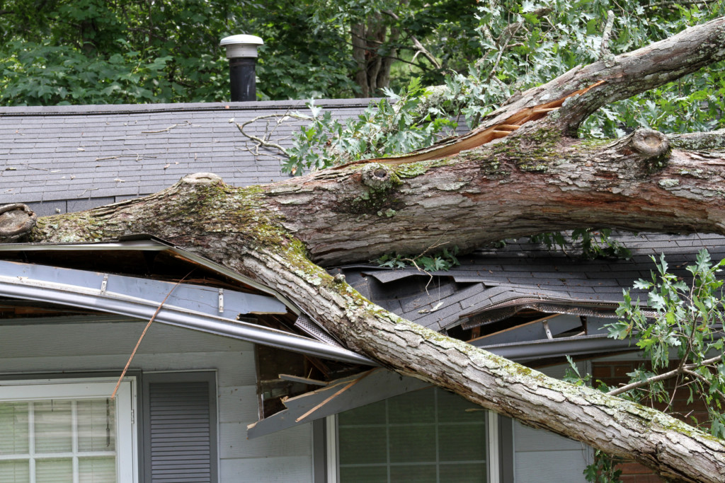 roof storm damage caused by a tree falling on the home