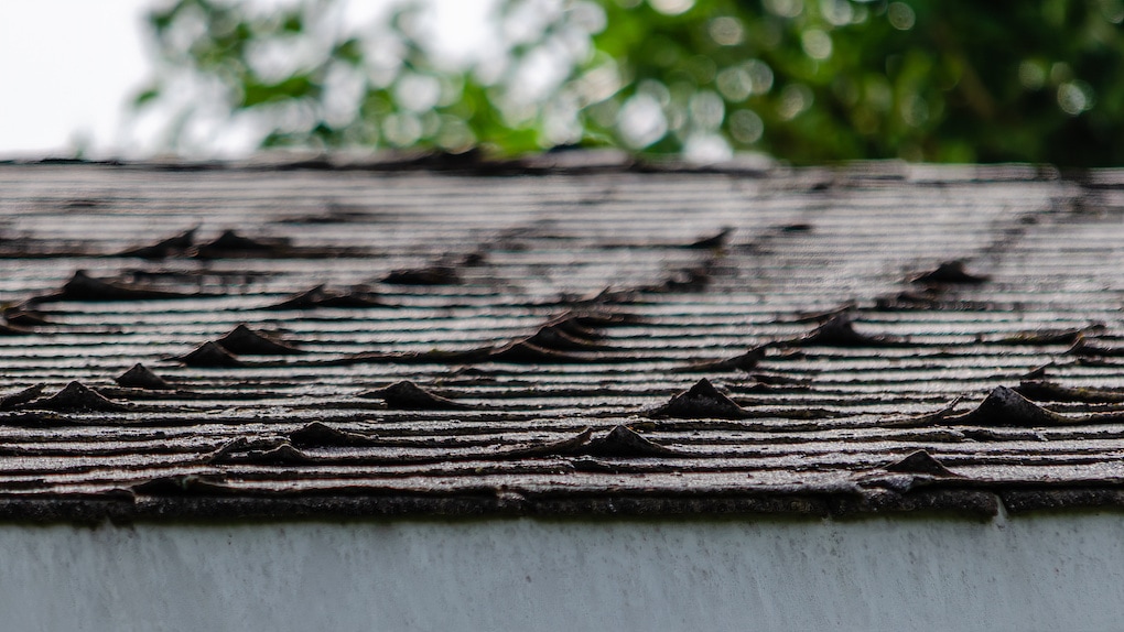 curling shingles; roof inspection