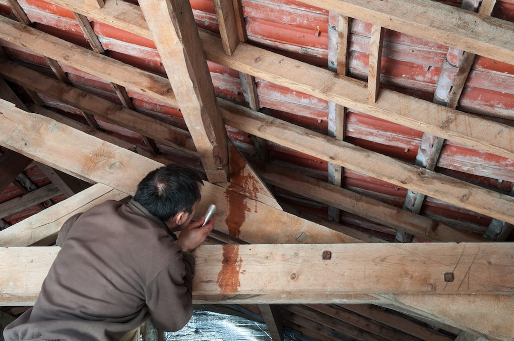 man searching in the attic to find a roof leak