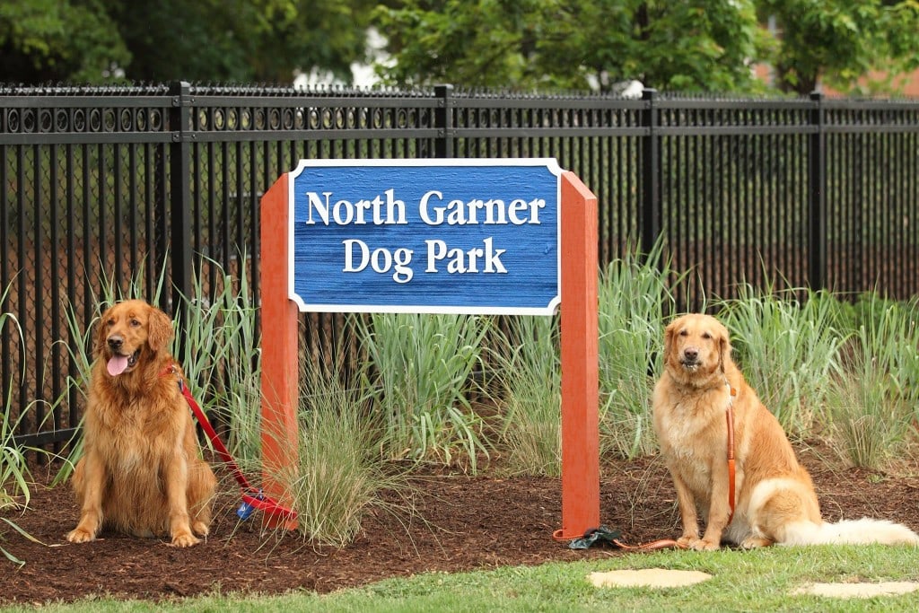 two golden retrievers by north garner dog park signage 