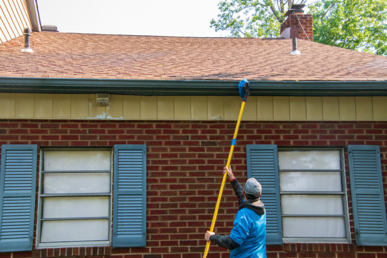 How To Clean Roof Shingles In 2025 (DIY Useful Guide)