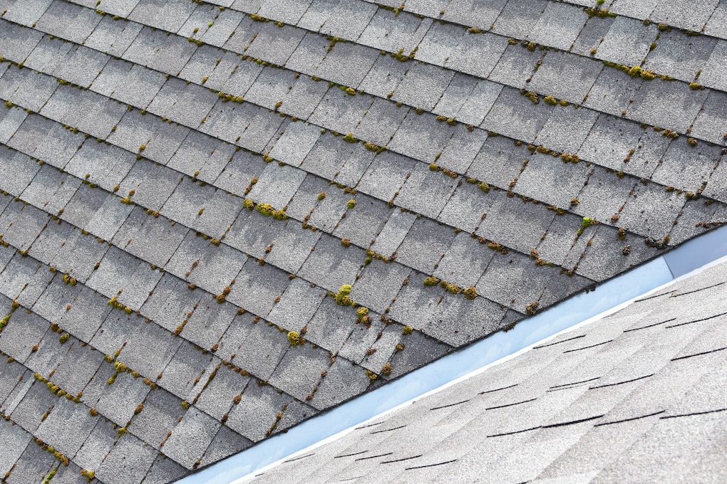 how to clean roof shingles that are grey bitumen asphalt overgrown with green moss