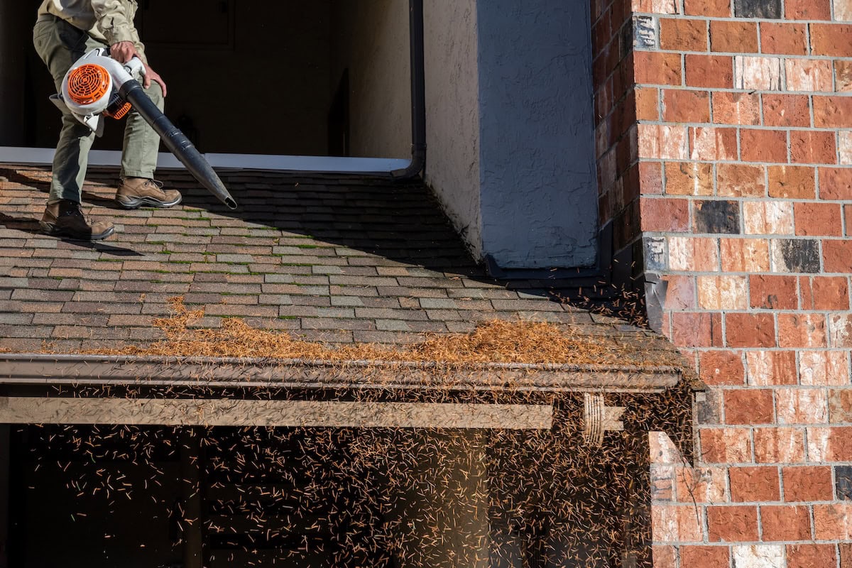 how to clean roof shingles blowing off roof