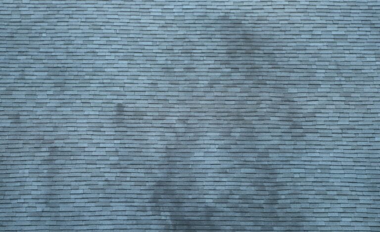 How to Clean Roof Shingles (Without Damaging Them)